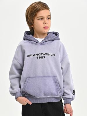 5060T-Ch Толстовка утепленная д/м (фиолетовый весь размерный ряд)