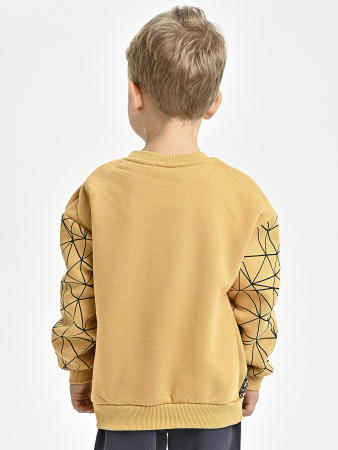 225469 Толстовка утепл. д/м (горчичный весь размерный ряд)