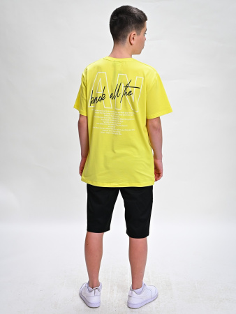2294 Футболка д/м (желтый весь размерный ряд)