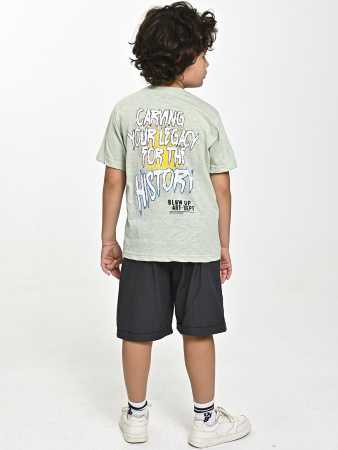 4610 Футболка д/м (фисташковый весь размерный ряд)