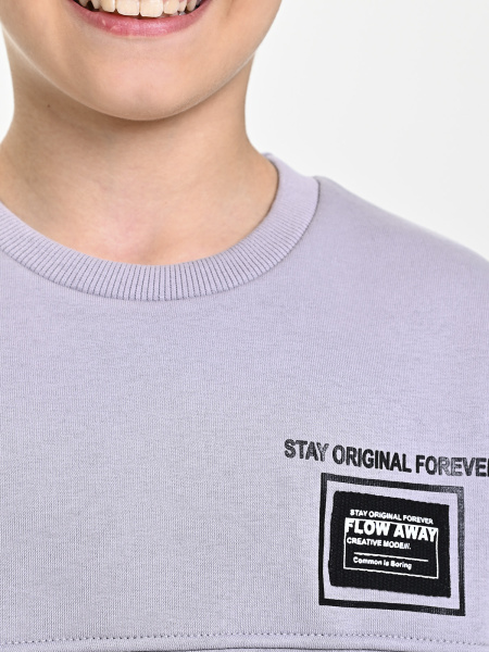 425493 Толстовка утепл. д/м (серый весь размерный ряд)