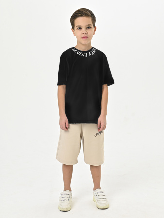 4511 Футболка д/м (черный весь размерный ряд)