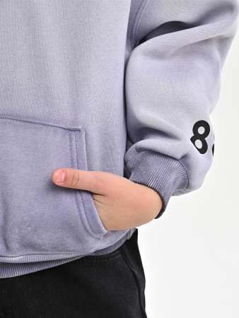 5060T-Ch Толстовка утепленная д/м (фиолетовый весь размерный ряд)