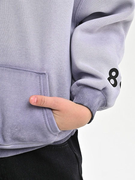 5060T-Ch Толстовка утепленная д/м (фиолетовый весь размерный ряд)