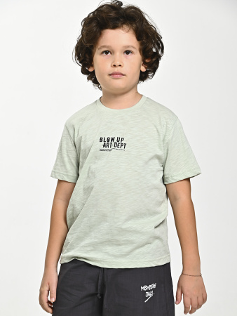 4610 Футболка д/м (фисташковый весь размерный ряд)