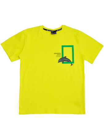 2289 Футболка д/м (желтый весь размерный ряд)