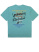 3181 Футболка д/м (изумруд весь размерный ряд)