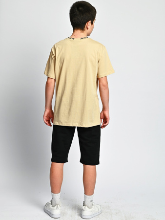 2073 Футболка д/м (бежевый весь размерный ряд)