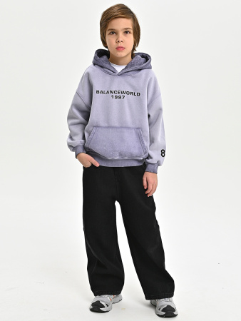 5060T-Ch Толстовка утепленная д/м (фиолетовый весь размерный ряд)