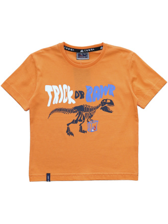 3073 Футболка д/м (оранжевый весь размерный ряд)