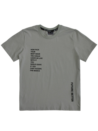 2047 Футболка д/м (серый весь размерный ряд)