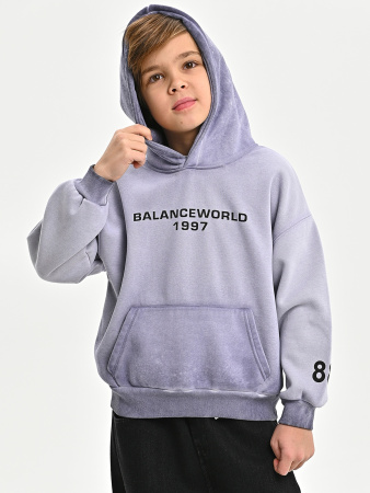 5060T-Ch Толстовка утепленная д/м (фиолетовый весь размерный ряд)