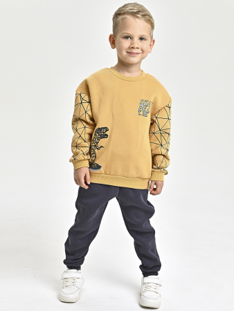 225469 Толстовка утепл. д/м (горчичный весь размерный ряд)