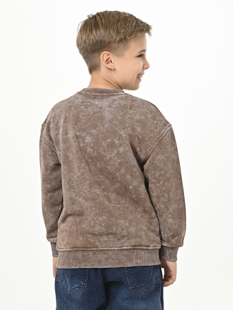 5003-F Толстовка д/м (коричневый 128)