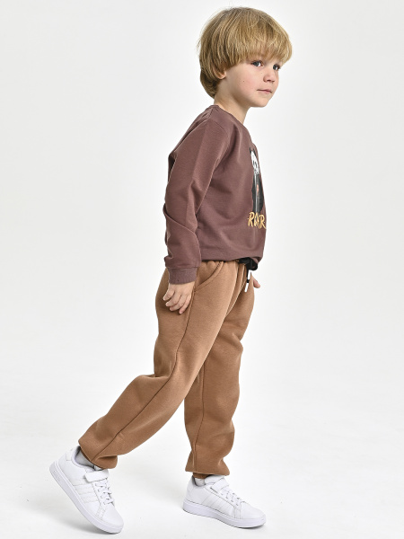 8019-B Брюки спорт утепл. д/м (коричневый 128)