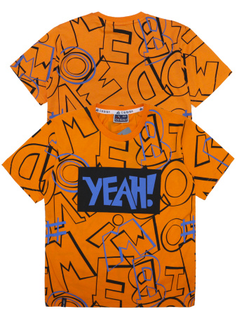 3183 Футболка д/м (оранжевый весь размерный ряд)