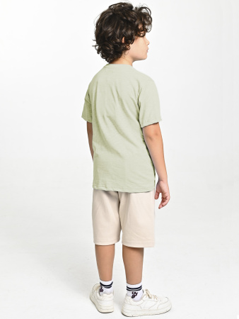 4619-С Футболка д/м (фисташковый весь размерный ряд)