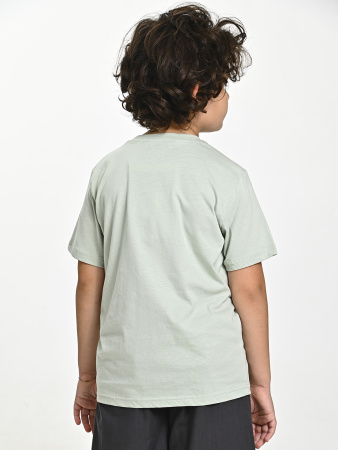 4539 Футболка д/м (фисташковый весь размерный ряд)