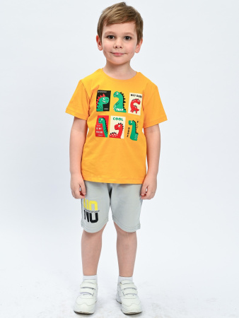 2317 Футболка д/м (оранжевый весь размерный ряд)