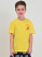 2313 Футболка д/м (желтый весь размерный ряд)