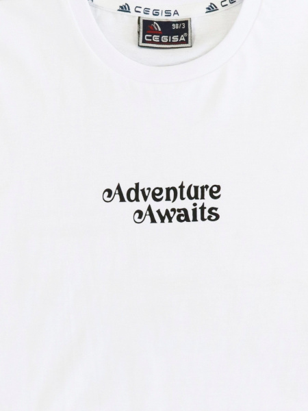 3080 Футболка д/м (белый весь размерный ряд)