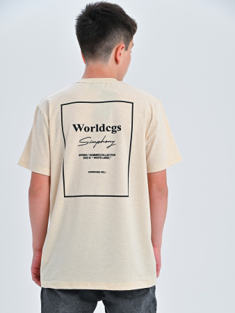 2290 Футболка д/м (бежевый весь размерный ряд)