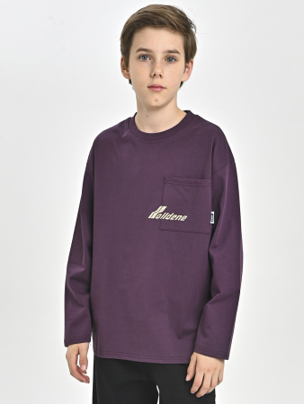 85Q311-Ch Лонгслив д/д (фиолетовый весь размерный ряд)