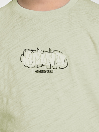 4619-С Футболка д/м (фисташковый весь размерный ряд)