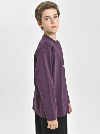 85Q311-Ch Лонгслив д/д (фиолетовый весь размерный ряд)
