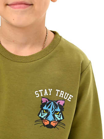 223645 Толстовка д/м (хаки весь размерный ряд)