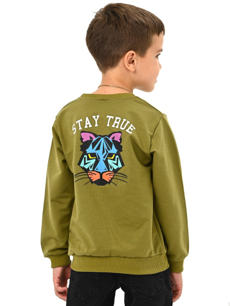 223645 Толстовка д/м (хаки весь размерный ряд)