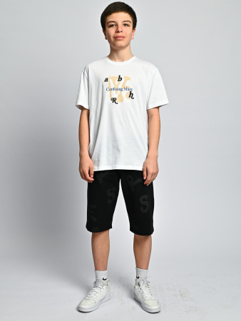 2166 Футболка д/м (белый весь размерный ряд)