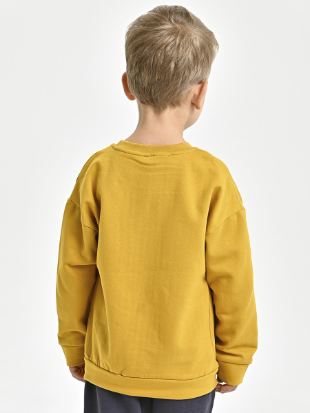 224425 Толстовка утепл. д/м (горчица весь размерный ряд)
