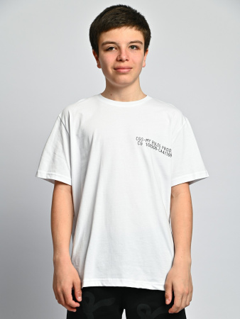 2038 Футболка д/м (белый весь размерный ряд)