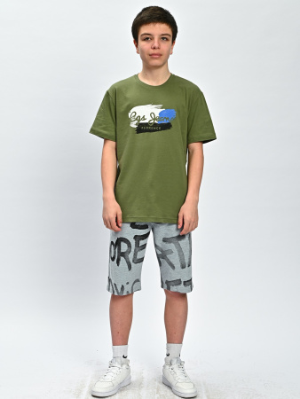 2164 Футболка д/м (хаки весь размерный ряд)