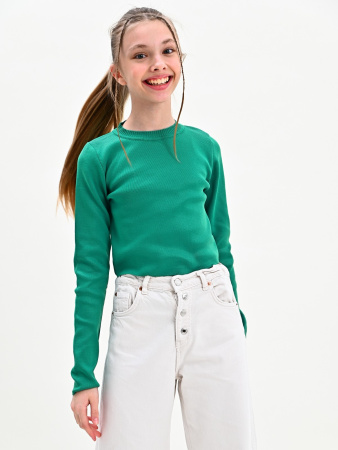 1711 Джемпер д/д (1711_Sum-зеленый-146)