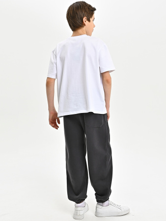 B020-8-Ch Брюки спорт утепл. д/м (темно-серый весь размерный ряд)