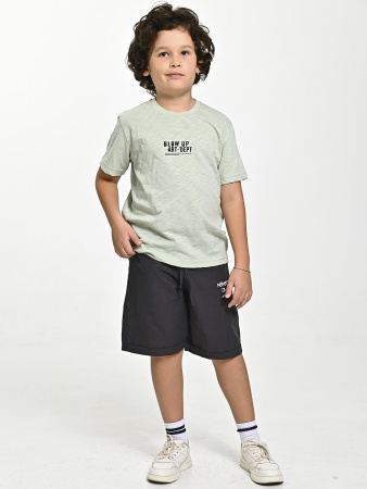 4610 Футболка д/м (фисташковый весь размерный ряд)