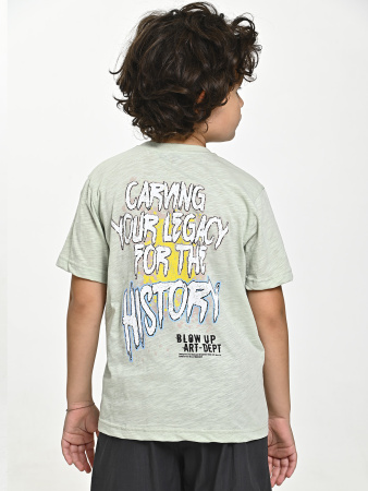 4610 Футболка д/м (фисташковый весь размерный ряд)