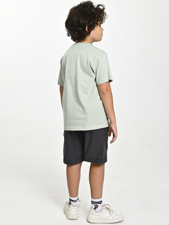 4539 Футболка д/м (фисташковый весь размерный ряд)