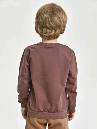 223643 Толстовка д/м (коричневый весь размерный ряд)