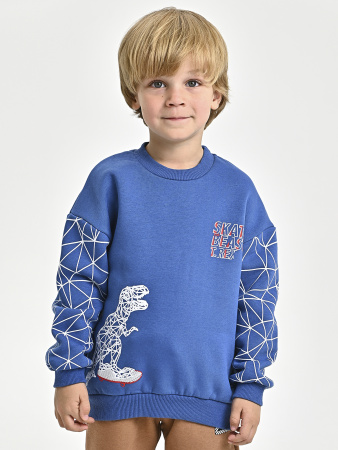 225469 Толстовка утепл. д/м (синий весь размерный ряд)