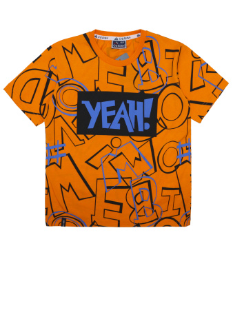 3183 Футболка д/м (оранжевый весь размерный ряд)