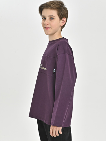 85Q311-Ch Лонгслив д/д (фиолетовый весь размерный ряд)
