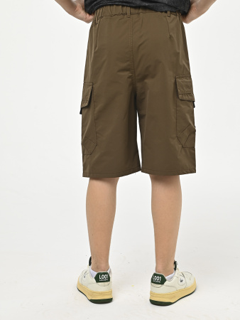 D2712-Ch Бриджи д/м (коричневый весь размерный ряд)