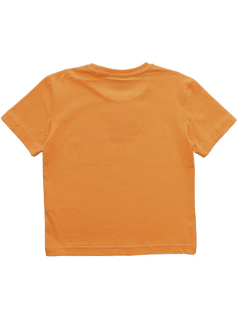 3073 Футболка д/м (оранжевый весь размерный ряд)