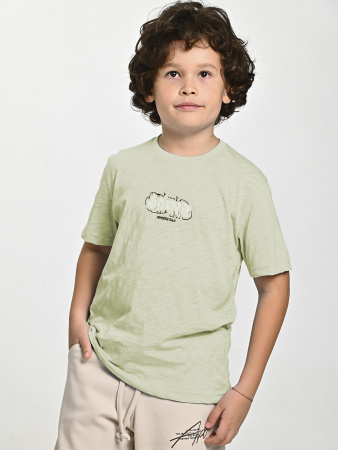 4619-С Футболка д/м (фисташковый весь размерный ряд)