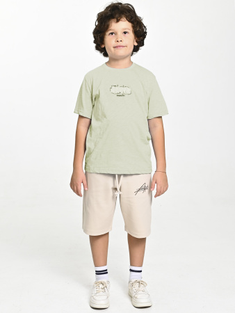 4619-С Футболка д/м (фисташковый весь размерный ряд)