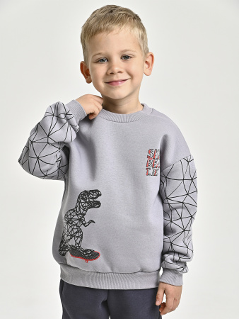 225469 Толстовка утепл. д/м (серый весь размерный ряд)