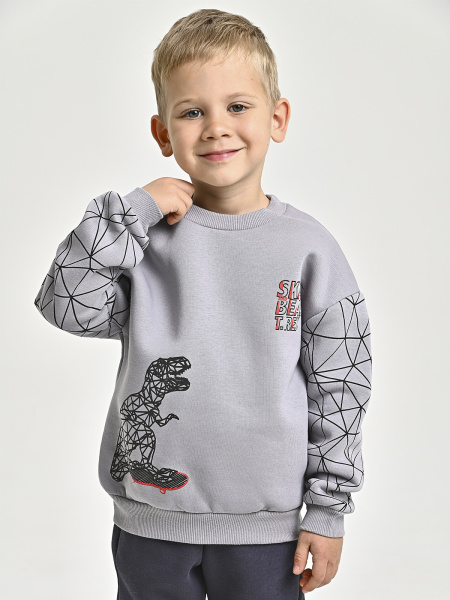 225469 Толстовка утепл. д/м (серый весь размерный ряд)